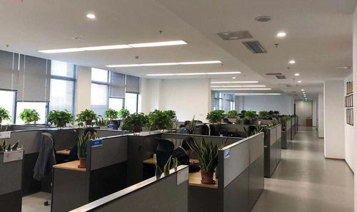 江蘇省電子信息產品質量監督檢驗研究院與信息安全測評中心 專業信息咨詢服務解析